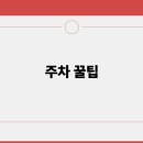 보조경기장 티스토리