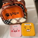 만안유치원 | [일상] 내돈내산 / 놀러오개 애견유치원 애견호텔 안양점 / 애견유치원 8회 후기