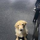 크로스핏거츠(여월점) 이미지