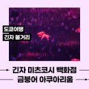 도쿄 여행 여자 혼자 여행 긴자 미츠코시 백화점 아트 아쿠아리움 금붕어 아쿠아리움 예약 방법 방문 후기