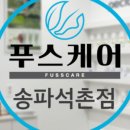 푸스케어송파