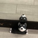 왕왕이 이미지