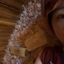 아영목장 | 얼마만에 쓰는 블로그인가 ! ! 🫠