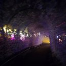 가평힐링리조트 이미지