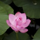 부교농장 이미지