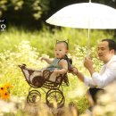 스프링폴스튜디오 이미지