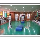 쌍호태권도장 네이버블로그