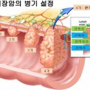 대장 지키고 살 빼는 생활습관 이미지