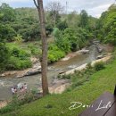 호텔 프렌즈 | 태국 치앙마이여행 3) 코끼리호텔 엘리펀트프렌즈 후기&amp; 레스토랑 후기