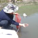 부운농장 이미지