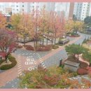 더좋은집공인중개사사무소 이미지