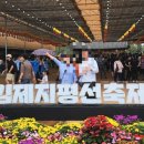 아침들녘 | 하늘과 맞닿은 들녘의 축제, 2025 김제지평선축제 현장 이야기