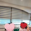 대전매봉초등학교 이미지