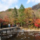 오대산펜션 이미지