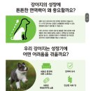 퍼피플랜 | [건사료 리뷰] 퓨리나 프로플랜 독 체험단 - 스몰앤토이 퍼피 강아지 사료 후기