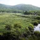 한국1호 이미지