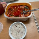 마레동물병원 | 임신 39주차 일상글(샤인킴 막달운동, 아인병원 유도분만)