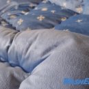 남양세탁소 이미지