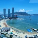부산부동산중개법인 이미지