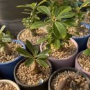 이백농장 이미지