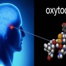 [사랑과 죽음, 그리고 옥시토신(oxytocin)] 이미지