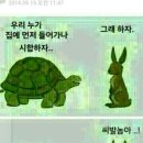 토끼와 거북이길 이미지