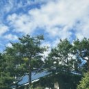 청운돈까스 이미지