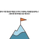 체크인독 이미지