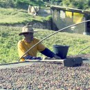 명문농장 이미지