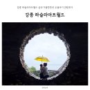 하슬라에코 | 강릉 하슬라아트월드 실내 가볼만한곳 두돌아기 관람후기