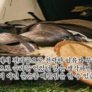 9월 17일(토), 전리품이 풍성하던 사람이 전리품 신세가 된 이유! 이미지