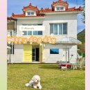 해피's데이애견펜션 | 밀양 독채애견숙소 부산근교애견펜션 해피도그데이 내돈내산