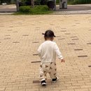 메리제인 | 반스 메리제인 후기, 엄마+아기 커플 신발 솔직 리뷰 (토틀러 사이즈, 찐 후기)