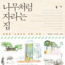 생각이 자라는 나무 이미지