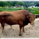 승일농장 이미지