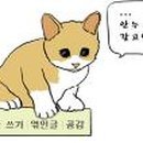 기흥호수 공인중개사사무소 이미지