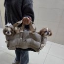 능금이 식당