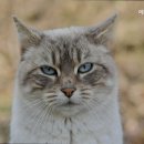 메리 동물병원 이미지