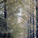 담양에코센터 이미지