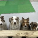 초롱유치원 이미지