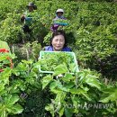 김현중농장 이미지