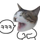 한잔콜포차 이미지