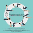 바른자세척추운동(SNPE)1 이미지