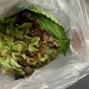용산삽교곱창 네이버블로그