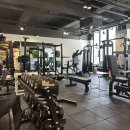 운동생활 야탑점 이미지