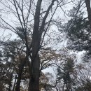 정인목장 네이버블로그