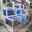 춘천시니어클럽(아름다운식당) | 강원도여행 내돈내산 속초중앙시장에서 줄 안서고 음식 사는 꿀팁 ft.속초관광수산시장