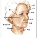 윤앤송한의원 네이버블로그