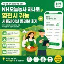 부자작물재배 | 귀농귀촌 준비 끝판왕 어플 등장! NH오늘농사 하나로 영천시 귀농 시뮬레이션 돌려본 후기