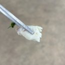 뻘식당 | 👩‍🦽👌복어와의 첫만남, 복지리탕을 먹어보았다: 덕적도 뻘식당 방문 후기 🐡
